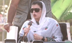 300 یونٹ مفت بجلی اور دگنی تنخواہ کیلئے بلاول کو ووٹ دیں، آصفہ کی کراچی میں انتخابی مہم