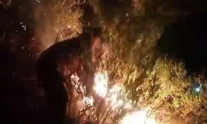 خان پور: جنگلات میں لگی آگ آبادی کی طرف بڑھنے لگی