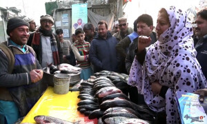 خیبرپختونخوا کا واحد ضلع جہاں پہلی بار 5 خواتین امیدوار انتخابی میدان میں ہیں