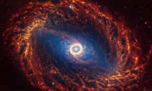 Webb telescope captures &lsquo;stunning&rsquo; images of 19 spiral galaxies