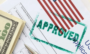 US begins H-1B visa renewal program for professionals