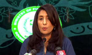 بھارت نے پاکستان میں ٹارگٹ کلنگ کروانے کے الزامات کو رد نہیں کیا، دفتر خارجہ