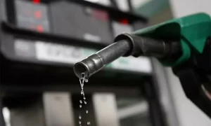 6 ماہ میں حکومت نے پیٹرولیم لیوی سے کتنے کمائے؟