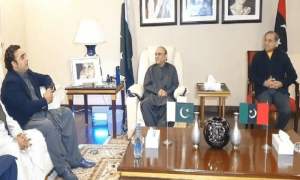 کون بنے گا صدر اور وزیراعظم ؟ پی پی نے مسلم لیگ سے تعاون کا اعلان کردیا