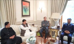 شہباز شریف سے ملاقات کرنے والے نو منتخب آزاد ارکان اسمبلی کا نواز شریف پر اعتماد کا اظہار