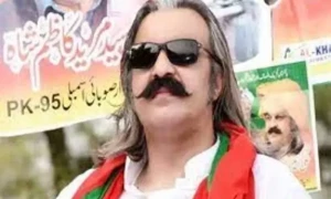 علی امین گنڈا پور کی نامزدگی پر ن لیگ کا سخت ردعمل