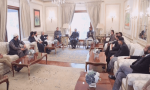 قومی اسمبلی کے رکن رضا حیات ہراج اور 8 آزاد ارکان پنجاب اسمبلی ن لیگ میں شامل