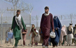 11 سے 14 فروری تک مزید کتنے افغان باشندے پاکستان چھوڑ کر جاچکے؟ اعداد و شمار جاری