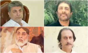 عام انتخابات میں 2 بھائی ایم این اے اور 2 بھائی ایم پی اے منتخب