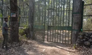 شیرنی کا نام &rsquo;سیتا&lsquo; رکھنے پر انتہا پسند ہندو مشتعل، عدالت پہنچ گئے