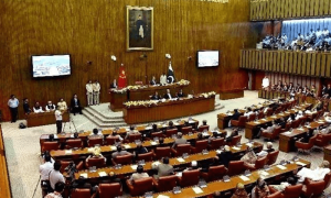 الیکشن مبینہ دھاندلی، سینیٹ میں پی ٹی آئی اور دیگر سینیٹرز کا احتجاج، چیئرمین کے ڈائس کا گھیراؤ