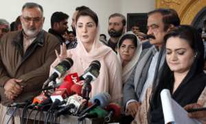ْپنجاب حکومت مفت بجلی کب دے گی، ن لیگ نے جواب دے دیا