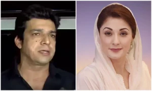 مریم نواز کو &rsquo;بزدار ٹو&lsquo; قرار دینے پر ن لیگ کا سخت ردعمل