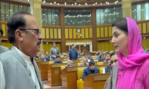 مریم نواز نے اپوزیشن کی طرف شاخ زیتون بڑھا دی، رانا آفتاب کی نشست پر آمد