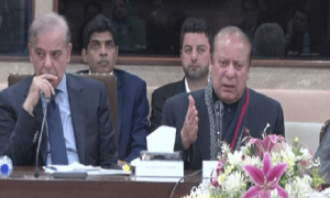 ڈیڑھ دو برس تکلیف دہ، پاکستان مشکلات سے نکل جائے گا، نواز شریف