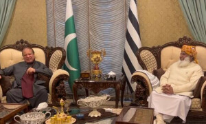 نوازشریف کی فضل الرحمان سے ملاقات، حکومت سازی میں مدد کی درخواست