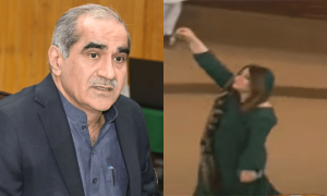 خاتون رکن اسمبلی کیخلاف پی ٹی آئی کی نازیبا زبان پر ن لیگ پھٹ پڑی