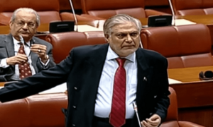 اسحاق ڈار سینیٹ میں پی ٹی آئی احتجاج سے گھبرا گئے، میثاق معیشت کی پیش کش کردی