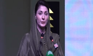 وزیر اعلیٰ پنجاب نے خواتین کیلئے بلا سود قرضوں کا اعلان کردیا