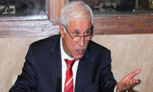 شہباز شریف کی کابینہ میں شامل نیا چہرہ &rsquo;چنیوٹی شیخ&lsquo; کون ہیں؟