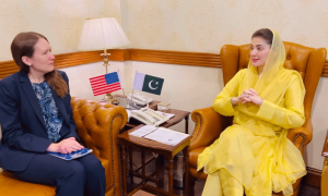 وزیر اعلیٰ پنجاب سے امریکی قونصل جنرل کی ملاقات، اعلیٰ تعلیم کے فروغ پر تبادلہ خیال