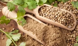 دھنیا: چھوٹی سی چیزکے بےشمار فوائد پانے کیلئے ایسے کھائیں
