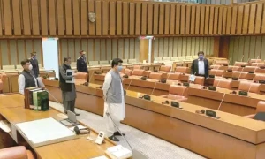 سینیٹ انتخابات کیلئے کاغذات کی جانچ پڑتال عمل مکمل، آج سے اپیلیں دائر کی جائیں گی