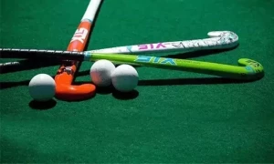 شہلا رضا کو ہٹا دیا گیا، ہاکی فیڈریشن کے نئے صدر منتخب ہوگئے