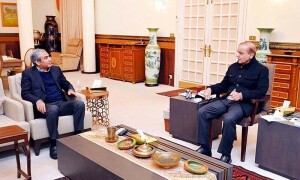 بجلی اور گیس چور نہیں بچیں گے، محسن نقوی کو کارروائی کی ہدایت