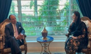 وزیراعلیٰ پنجاب سے وزیر خزانہ کی ملاقات، ملکی معاشی صورتحال پر گفتگو