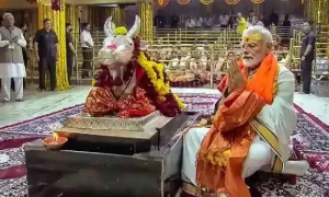 نریندر مودی کو دیوتا بنایا جارہا ہے، بھارتی تجزیہ کار