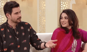 تابش ہاشمی کی اہلیہ نے کراچی میں ڈاکوؤں کو کیسے &rsquo;ماموں&lsquo; بنایا، ویڈیو