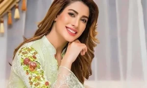 کس بالی ووڈ خان کے ساتھ مہوش حیات کام کی خواہش مند ہیں