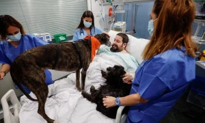 Spanish hospital enlists therapy dogs to boost ICU patients&rsquo; morale