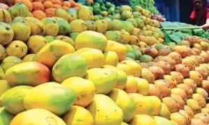 اصلی اور نقلی آم کو پہچانیں ، کیمیکل سے تیار کئے گئے آم سے خبردار ہوجائیں،