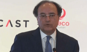 آئی ایم ایف رواں ماہ کے آخر میں قسط جاری کرسکتا ہے، کوئی پلان بی نہیں، وزیر خزانہ