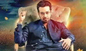 &rdquo;ظلم&ldquo; میں کہے گئے ڈائیلاگ پر فیصل قریشی کی وضاحت