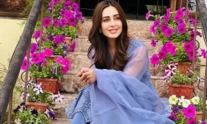 اداکارہ سدرہ نیازی نے اپنی شادی کا انکشاف کر دیا