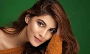 نازش جہانگیر نے شادی کی پیشکش پر حیران کن ردعمل کے حوالے سے وضاحت جاری کردی