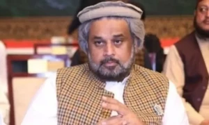 شیر افضل مروت کی جگہ حامد رضا پبلک اکاؤنٹس کمیٹی کیلئے نامزد