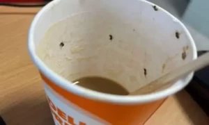 کیڑوں مکوڑوں والی کافی پینے سے خاتون کی جان پر بن آئی