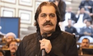 پی ڈی ایم ٹو کے تجربے سے شریف فیملی کی معیشت ٹھیک ہوگی، علی امین