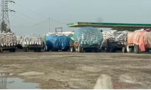 گندم کی عدم خریداری کا بحران سنگین، محکمہ خوراک پنجاب نے ہاتھ اٹھا دیئے