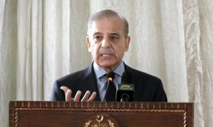 سعودی سرمایہ کار ایس آئی ایف سی کے ذریعے سرمایہ کاری سے فائدہ اٹھا سکتے ہیں، وزیر اعظم