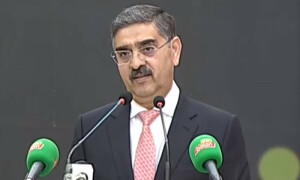 نگراں دور میں گندم درآمد کے فیصلے کی مکمل ذمہ داری لیتا ہوں، انوار الحق کاکڑ