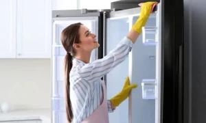 ریفریجریٹر کی زندگی کو بڑھانے کا طریقہ جانیے، چند آسان طریقوں پر عمل کریں