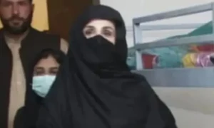 بشرٰی بی بی منتقلی کیس، قیدِ تنہائی ایذا رسانی ہے، عدالتی فیصلہ