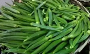 بھنڈی کی ڈشزگرمیوں کے موسم میں بنائیں