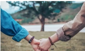 Friendship-marriage gains popularity in Japan