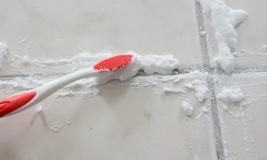 دو گھریلو اشیاء کے ساتھ 5 منٹ میں باتھ روم کی ٹائلزکو سفید کریں